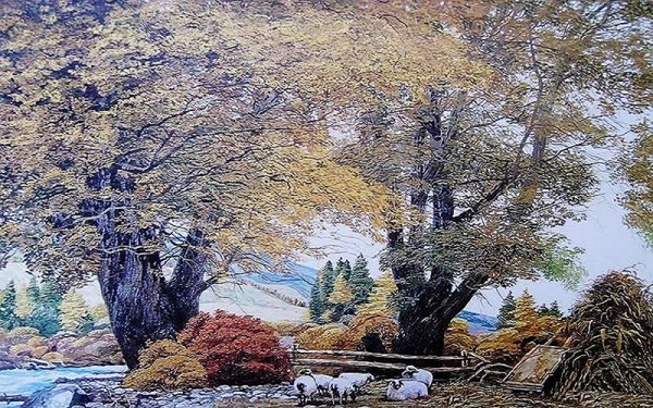 1465283157568663.jpg 1.jpg