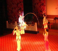 8木偶戲《別動觀景